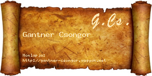 Gantner Csongor névjegykártya